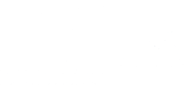 DS Expertise Logo