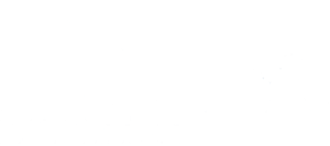 DS Expertise Logo